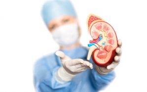 metastatic renal cell carcinoma treatment, renal cell carcinoma diagnosis, metastatic renal cell carcinoma, metastatic renal cell carcinoma treatments, What is Renal Cell Carcinoma Cancer?, metastatic renal carcinoma treatments, metastatic renal cell carcinoma diagnosis, renal cell carcinoma treatment, renal cell carcinoma, alternative kidney cancer treatment, advanced kidney cancer treatments, kidney cancer survival rates, treatment advanced kidney cancer, metastatic kidney cancer treatments, treatment for metastatic kidney cancer