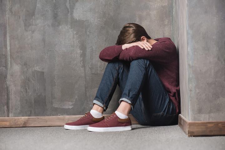 Paracelsus Recovery for Depression