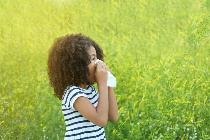 Allergy Zyrtec Xyzal Medications